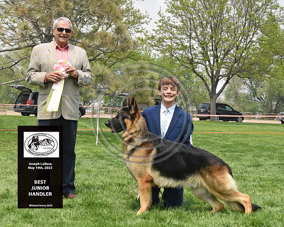 Best Junior Handler