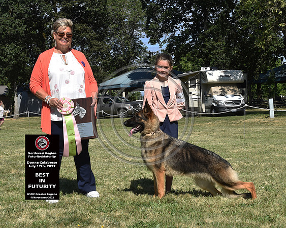 Best in Futurity