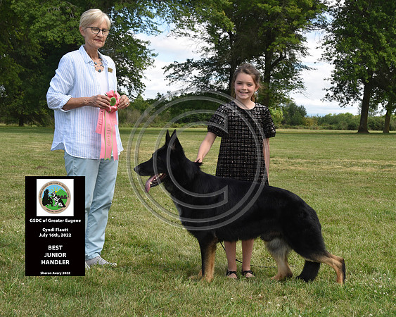 Best Junior Handler