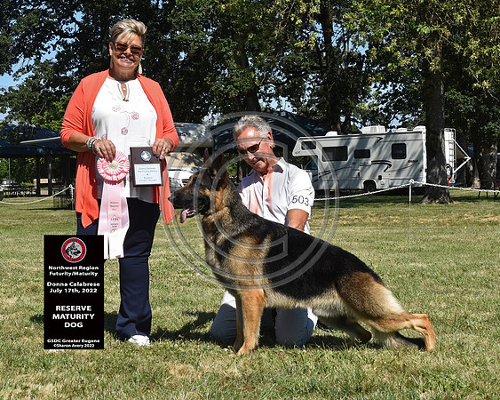 Reserve Maturity Dog