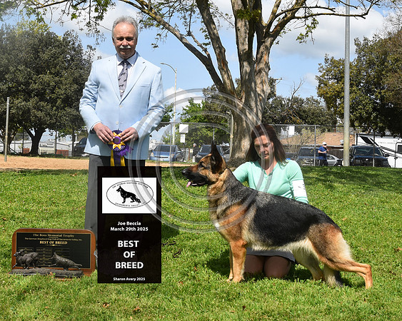 Best of Breed