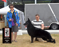 Winners Dog