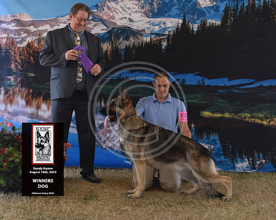 Winners Dog