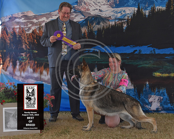 Best of Breed