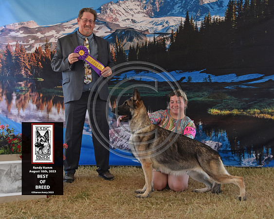 Best of Breed