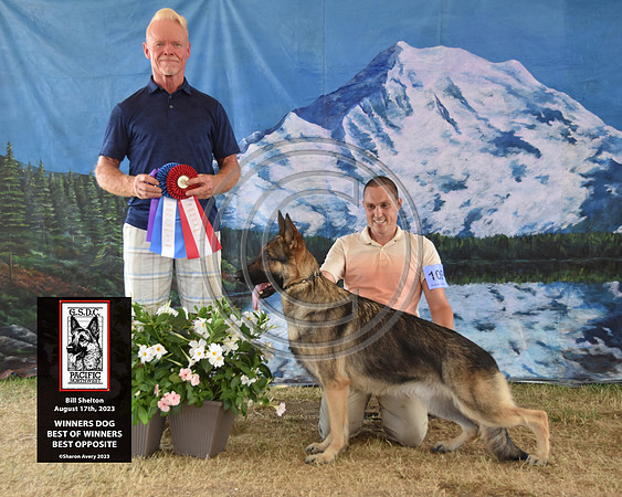 Winners Dog Best of Winners Best Opposite