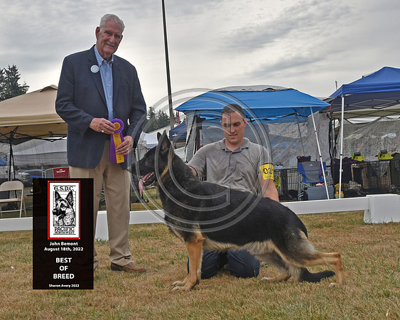 Best of Breed