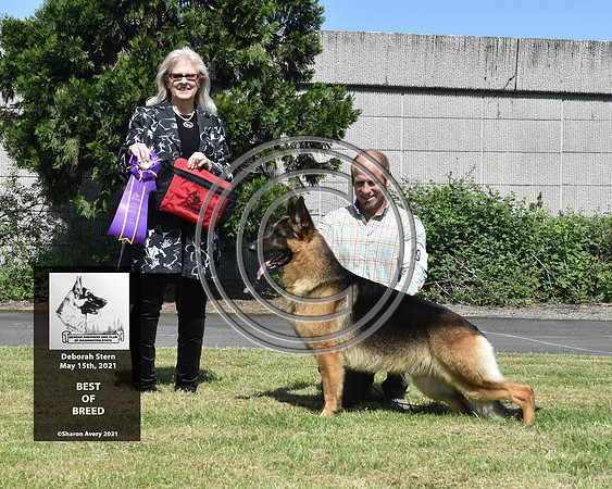Best of Breed