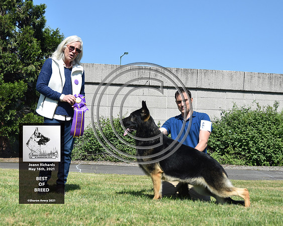Best of Breed