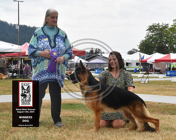 Winners Dog