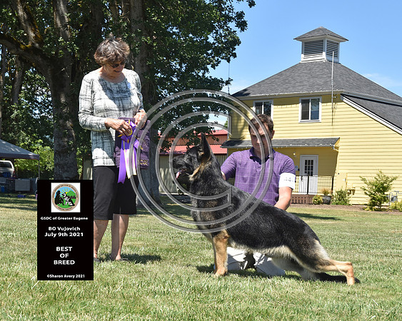 Best of Breed