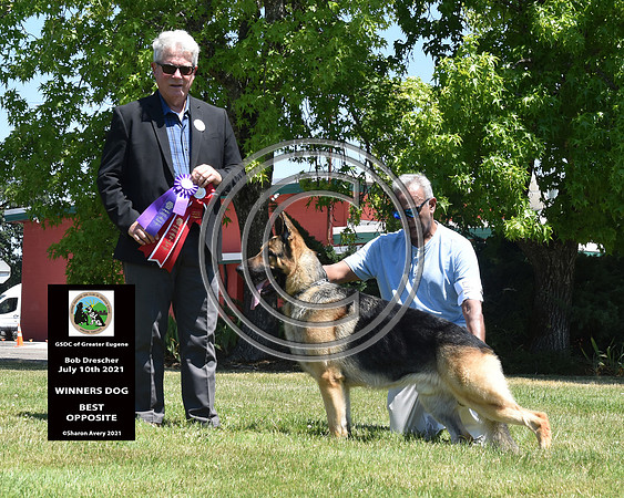 Winners Dog Best Opposite