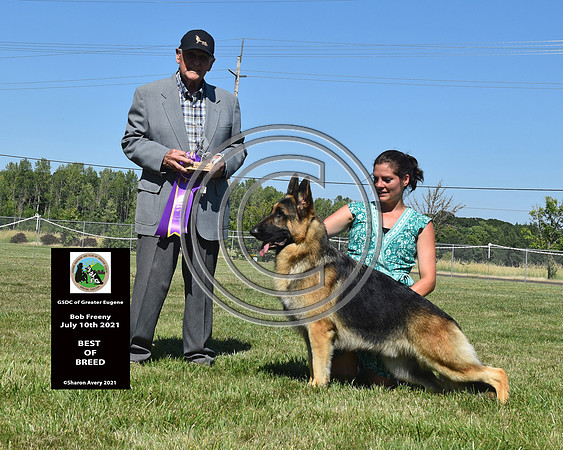 Best of Breed
