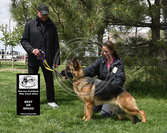 Best of Breed