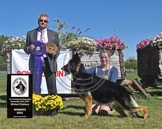 Winners Dog