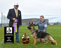 Best of Breed