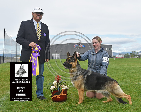 Best of Breed