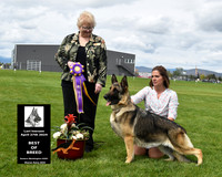 Best of Breed