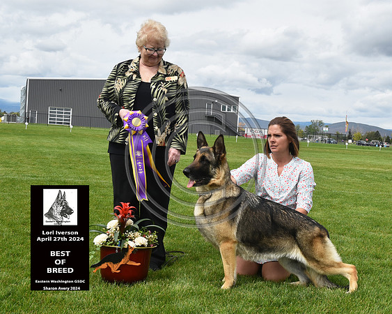 Best of Breed