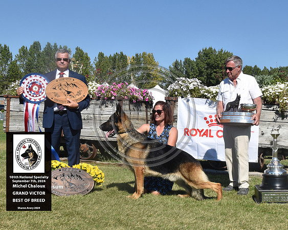Grand Victor Best of Breed