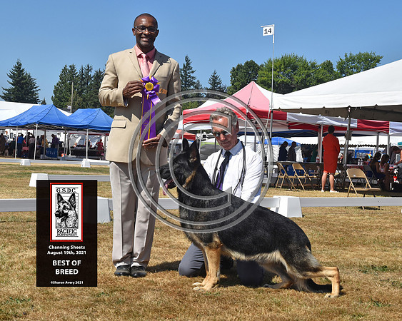 Best of Breed