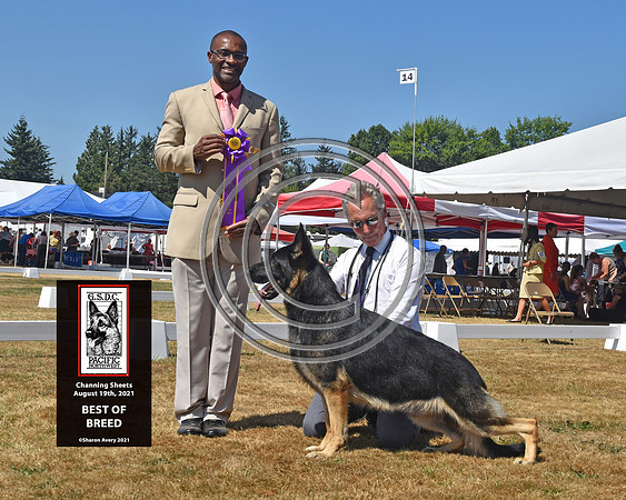 Best of Breed