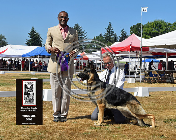 Winners Dog
