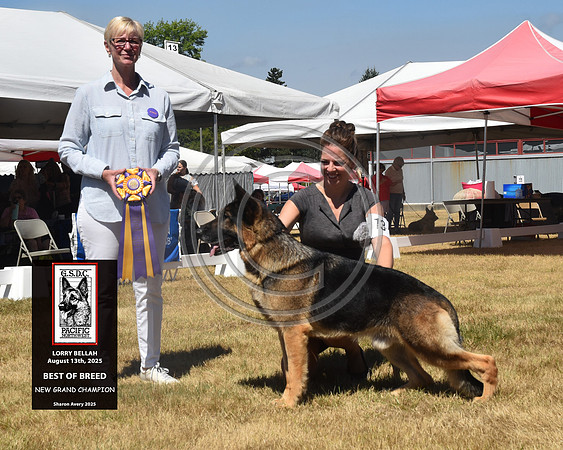 Best of Breed New Grand Champion