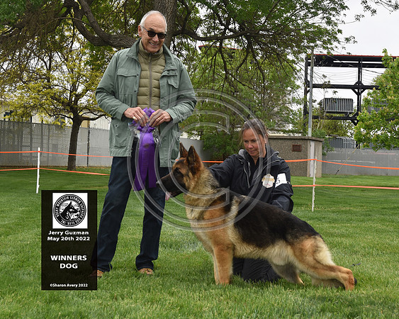 Winners Dog