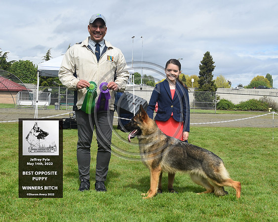 Winners Bitch Best Opposite Puppy
