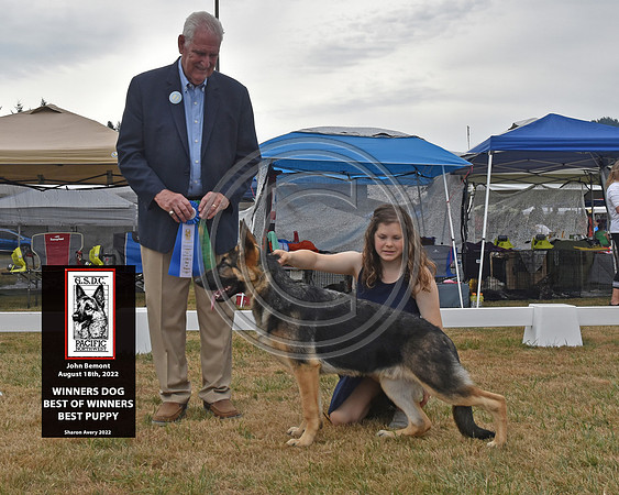 Winners Dog Best of Winners Best Puppy