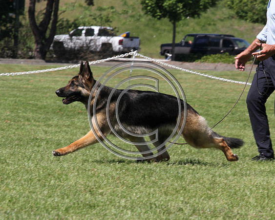 Sharobi's Synchronized Motion