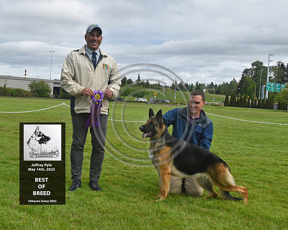 Best of Breed