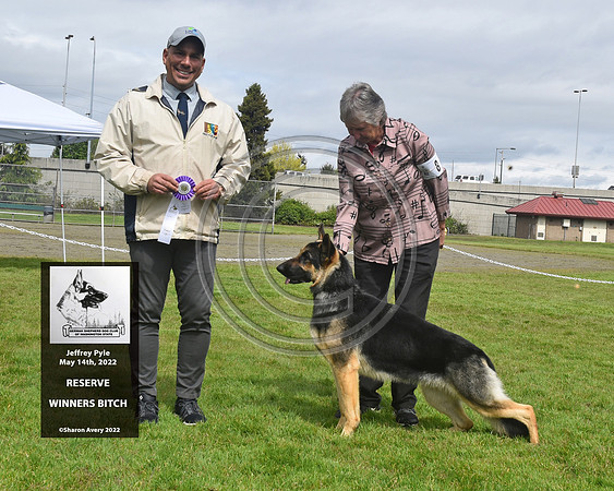 Reserve Winners Dog