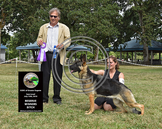 Reserve Winners Bitch
