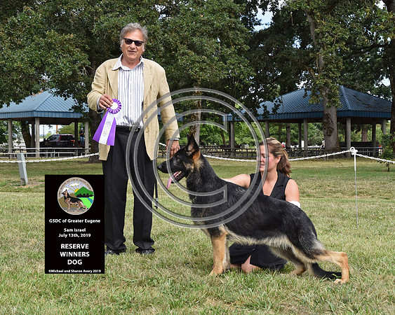 Reserve winners Dog