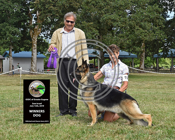 Winners Dog