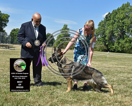 Best of Breed