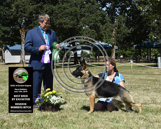 Best Bred By Exhibitor Reserve Winners Bitch