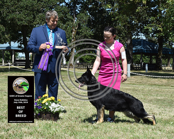 Best of Breed