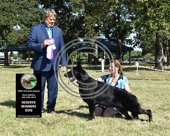 Reserve Winners Dog