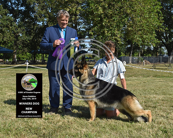 Winners Dog New Champion