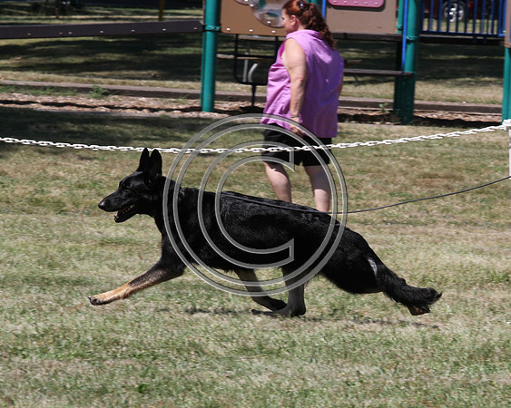 Big Sky WindvaneBlack Magic WoMAN