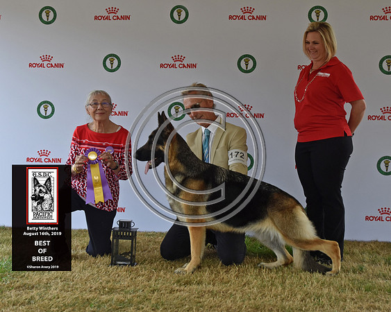 Best of Breed