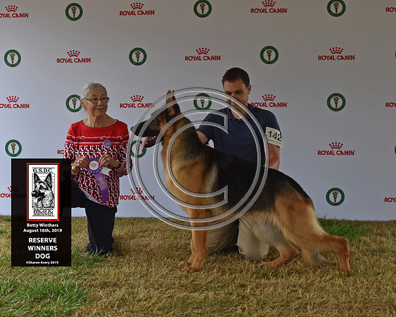 Reserve Winners Dog