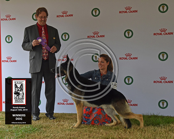 Winners Dog