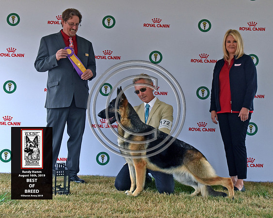 Best of Breed