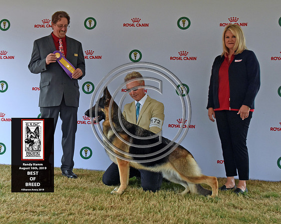 Best of Breed