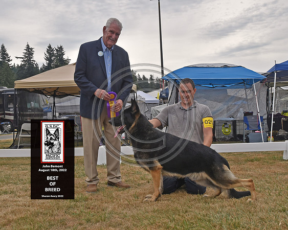 Best of Breed