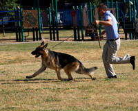 GSDC Greater Eugene - Movement